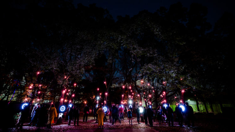 Sakuya Lumina, une promenade nocturne enchanteresse à Osaka