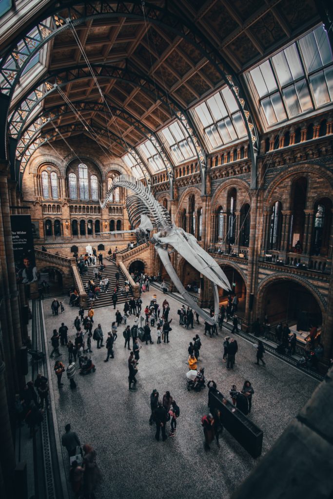 IMMERSIVE CULTURE - Credits : Joshua Rawson Harris
